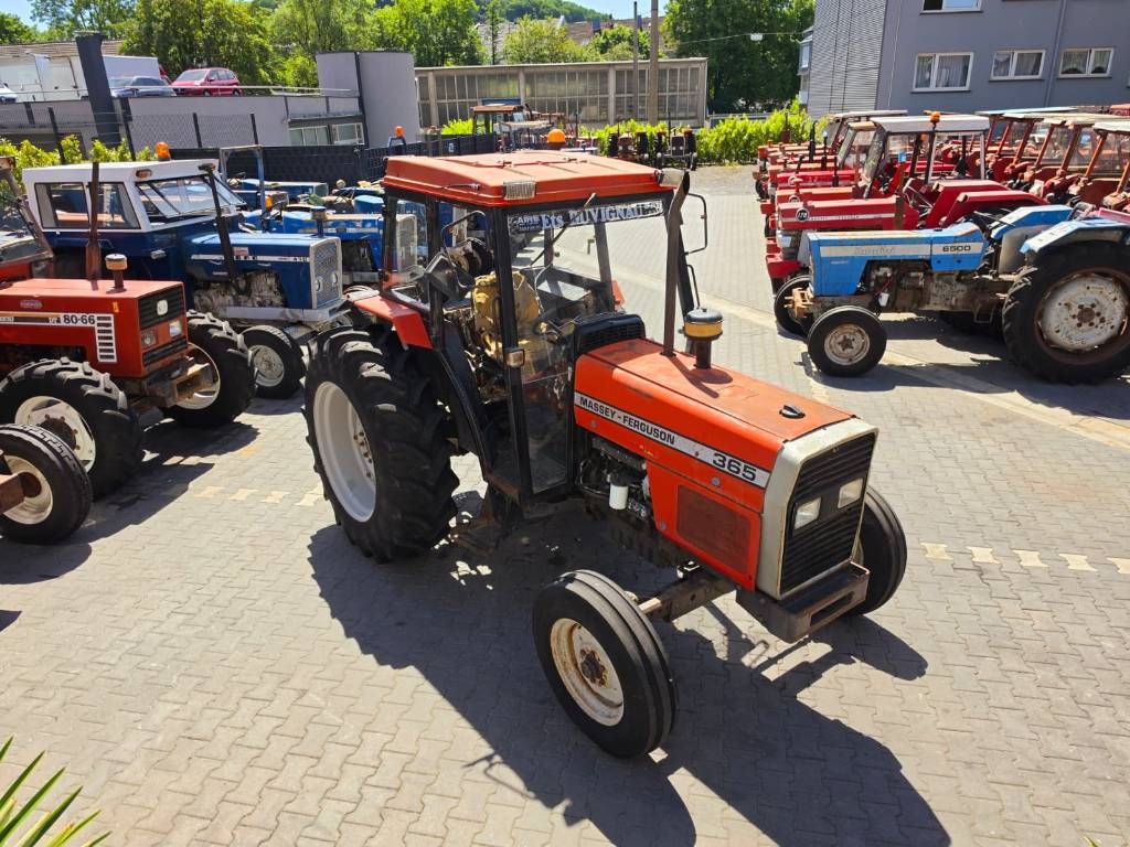 Massey Ferguson 365