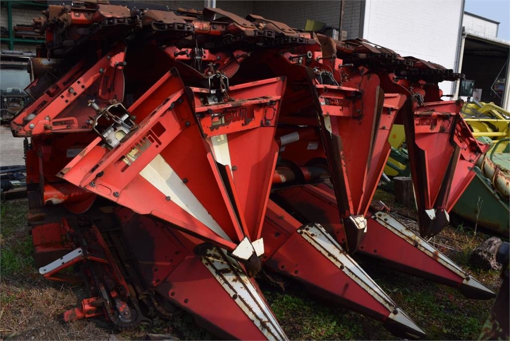 Olimac Drago NR8TR