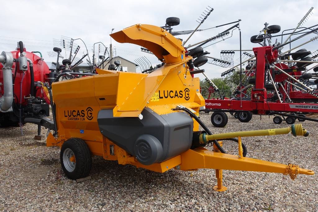 Lucas Castor + R30 plus