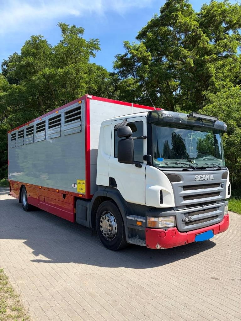 Scania P 230