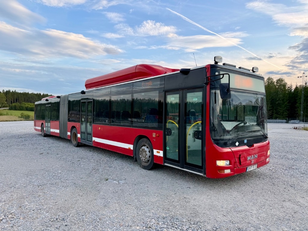 MAN Lion's City GLLE CNG (33 BUSES FOR SALE)