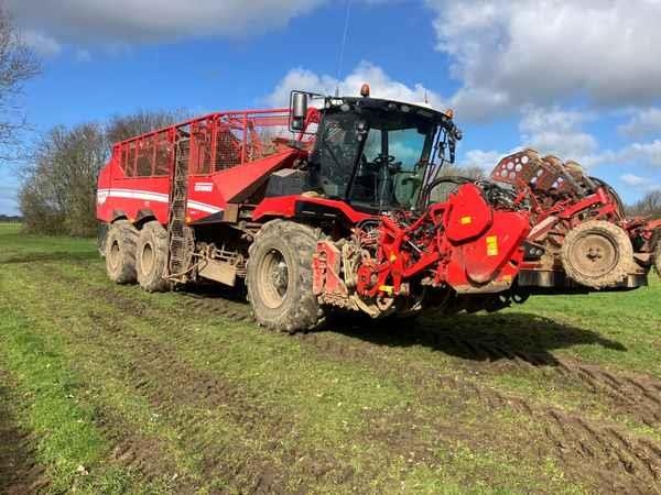 Grimme Rexor 6300, Self-Propelled, Sugar Beet Harv