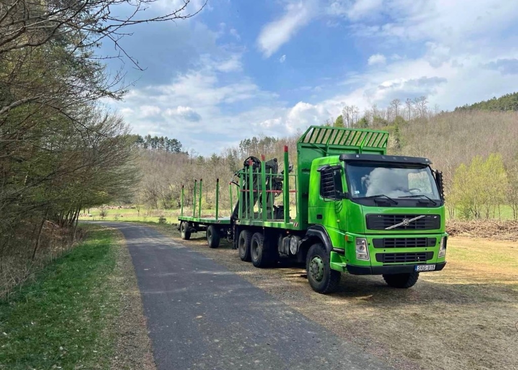 Camion plateau grue Volvo F 12 — occasion 2003
