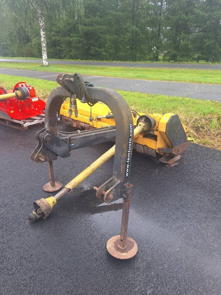 Orsi Farmer 259