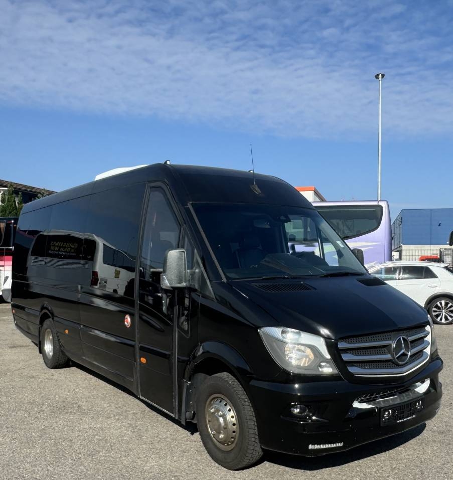 Mercedes-Benz 516 CDI Sprinter Tourline XL*519*TV*17 Sitze*