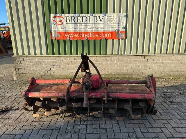 Frees Rood