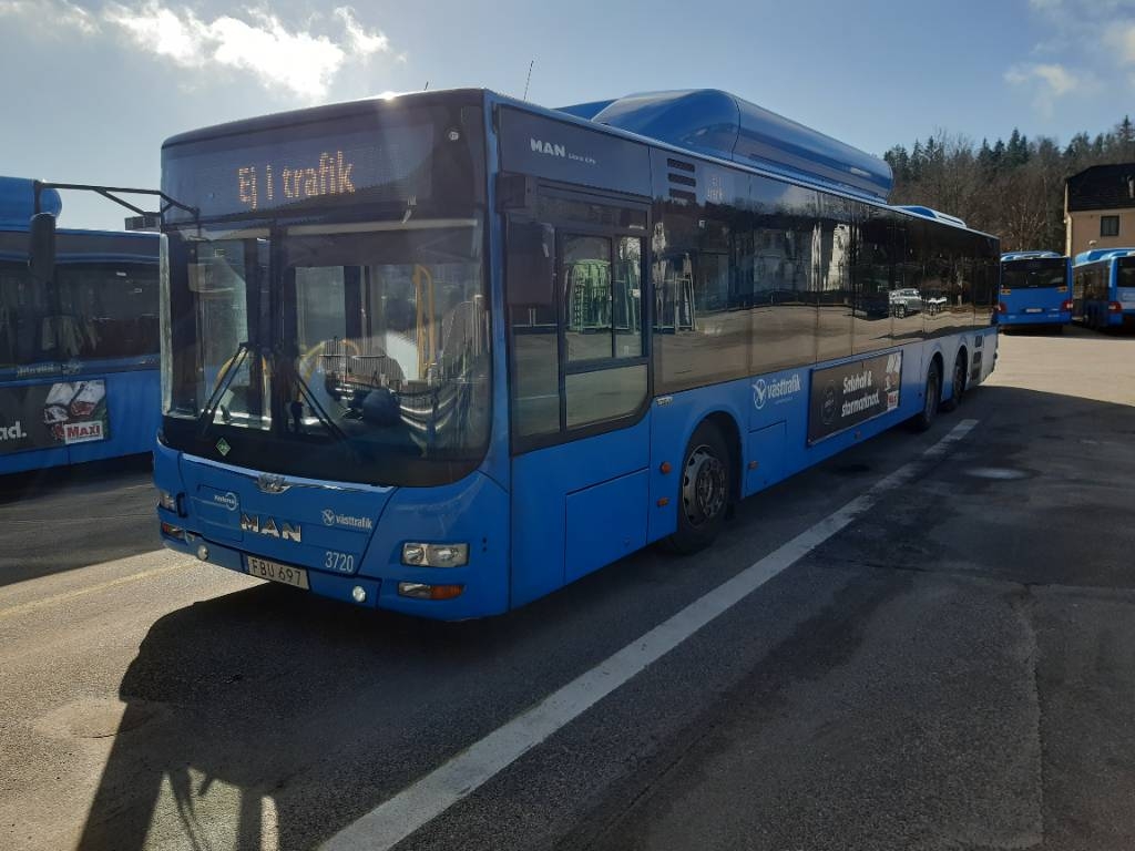 MAN A26 CNG Lions City ( 3709-3729) 21 buses