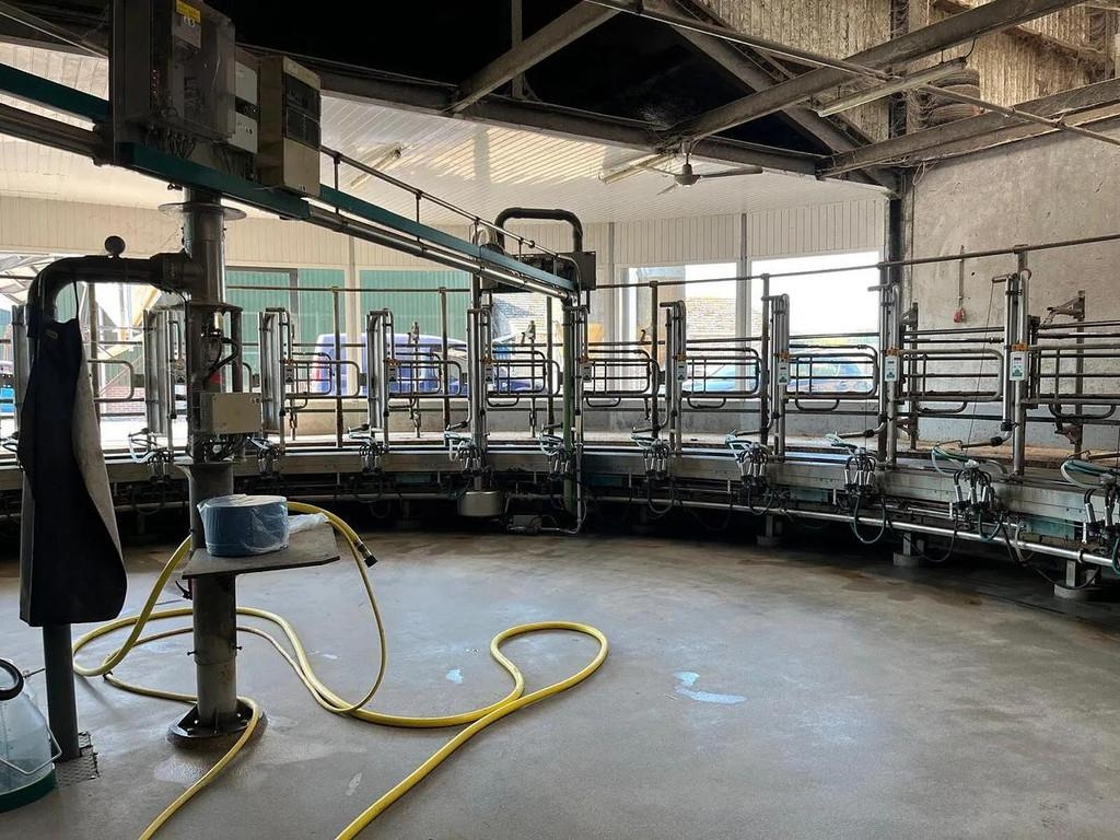 Gea 32 stand milking parlour