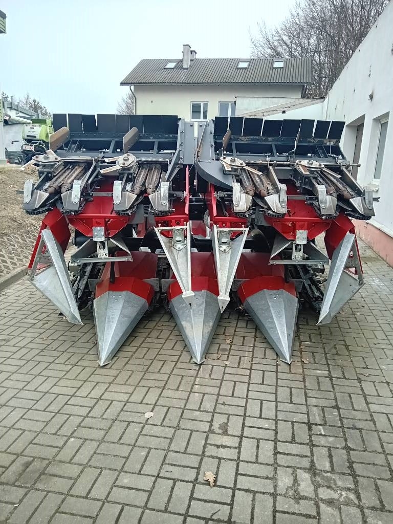 Dominoni SL978 BG