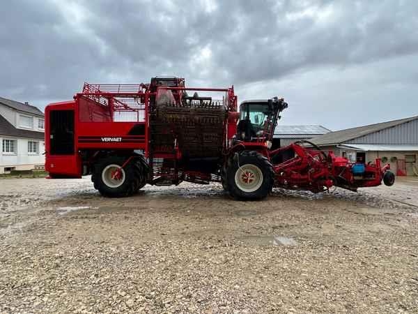 Vervaet Q621