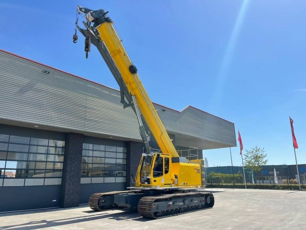 Grue sur chenilles Grove GHC 75 — occasion 2015, 2 900 h