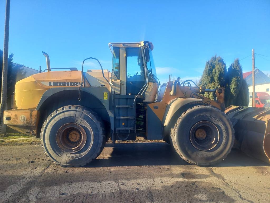 Liebherr L 564 (3)