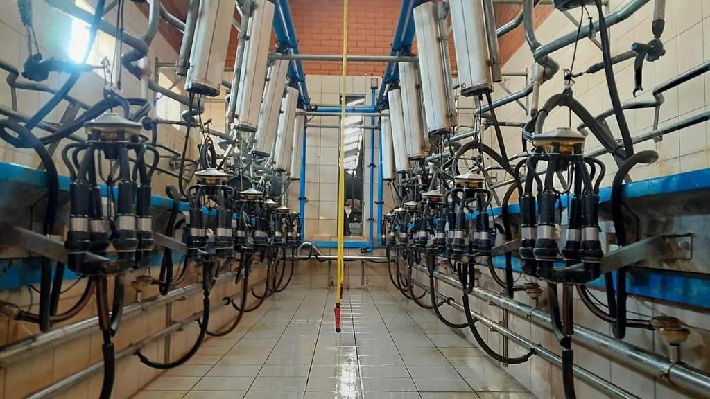 Delaval 2x7 30° herringbone