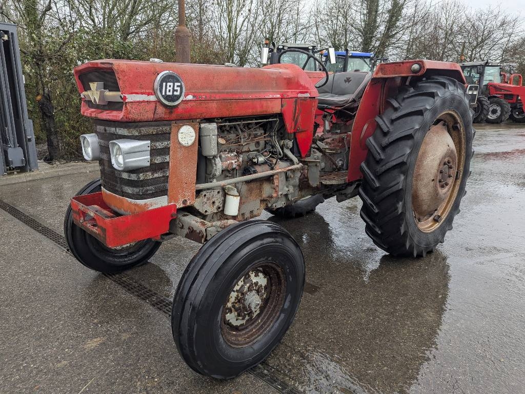 Massey Ferguson 185