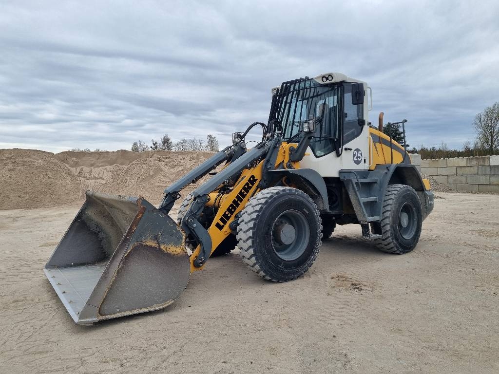 Liebherr L 524