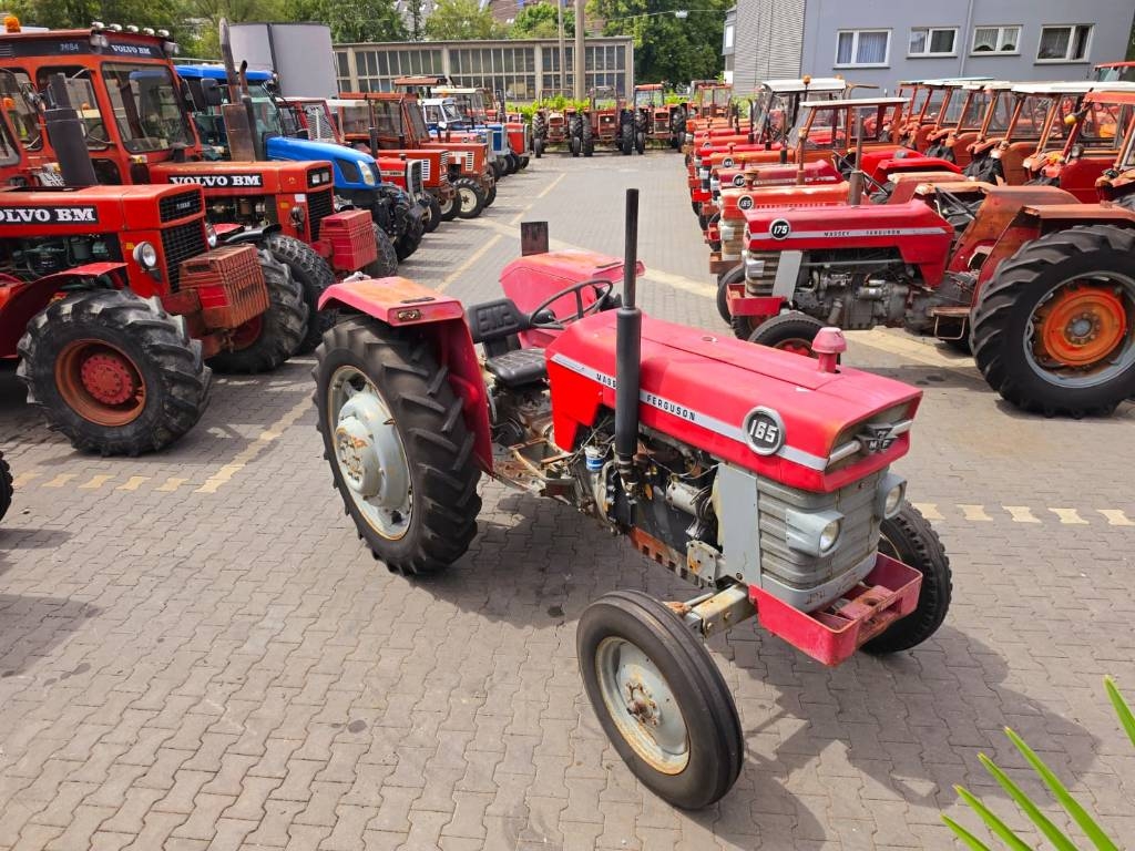 Massey Ferguson 165