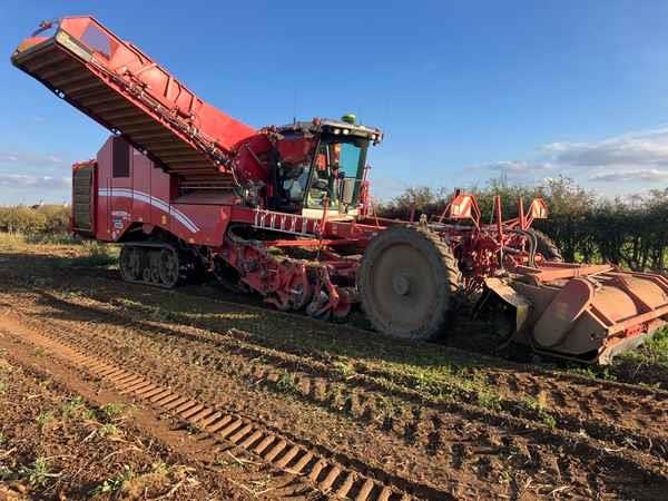 Grimme Varitron 470 PL TT, 4 Row, Self-Propelled Potato H