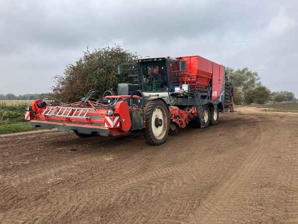 Dewulf Enduro, 4 Row, Self-Propelled, Potato Harve