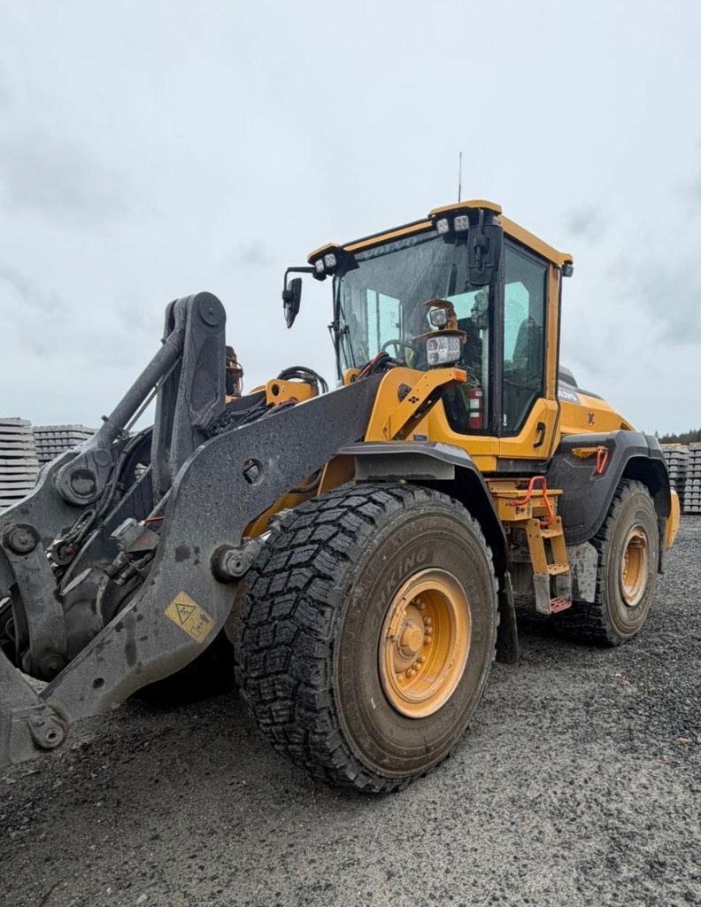 Volvo L 110 H