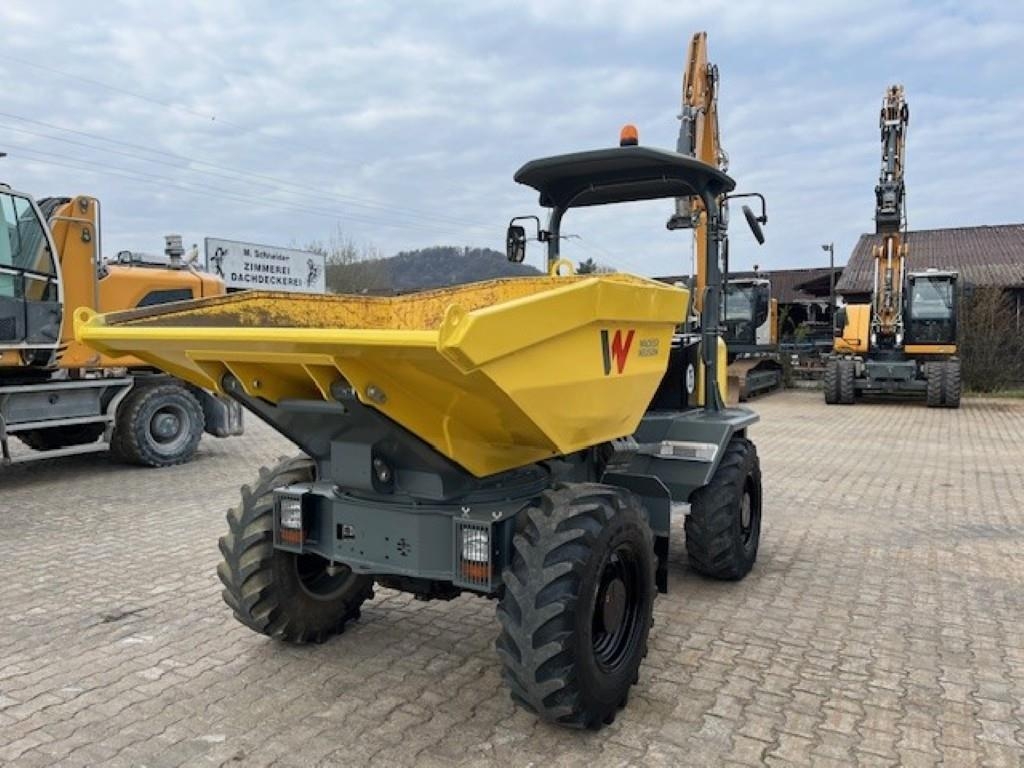 Tombereau articulé Wacker Neuson DW 50 — occasion 2020