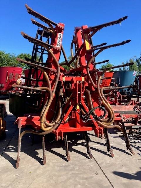 Evers Freiberger XL
