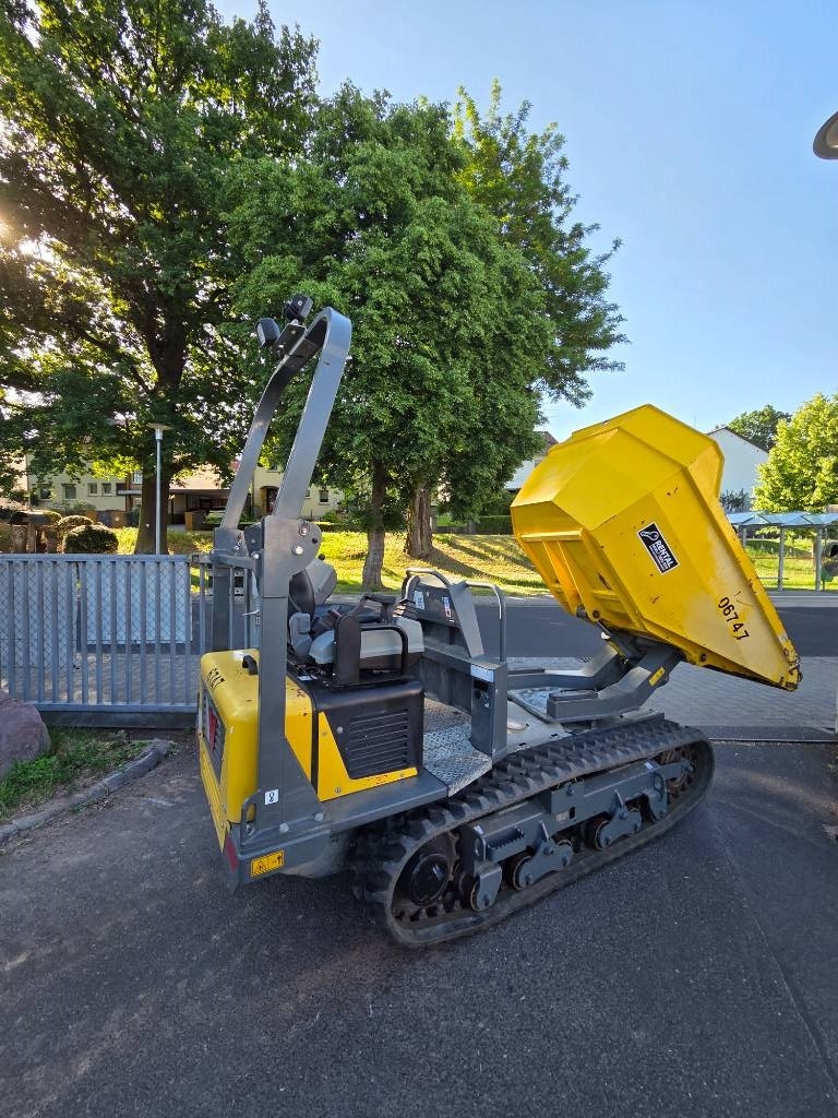 Tombereau sur chenilles Wacker Neuson DT 23 — occasion 2021, 695 h