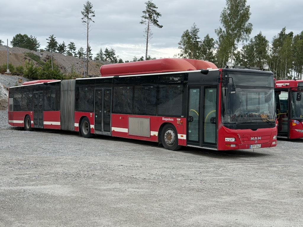 MAN Lion's City GL CNG (30 BUSES FOR SALE)