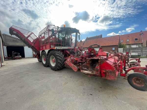 Vervaet BEET EATER 625