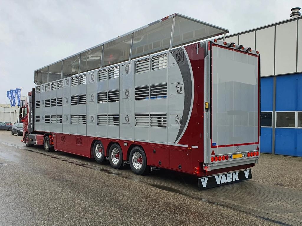 Semi-remorque bétaillère Cuppers - 3 stock livestock - Water & Ventilation - St — occasion 2026