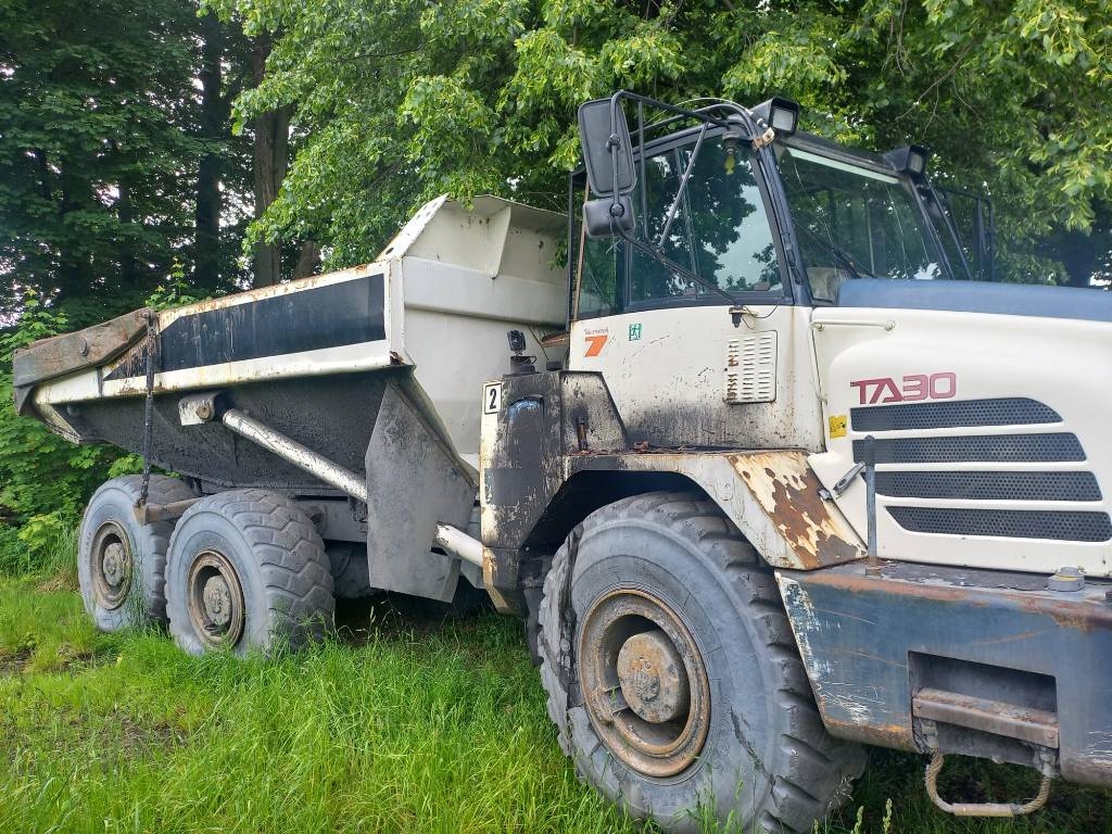 Terex TA 30 (2)