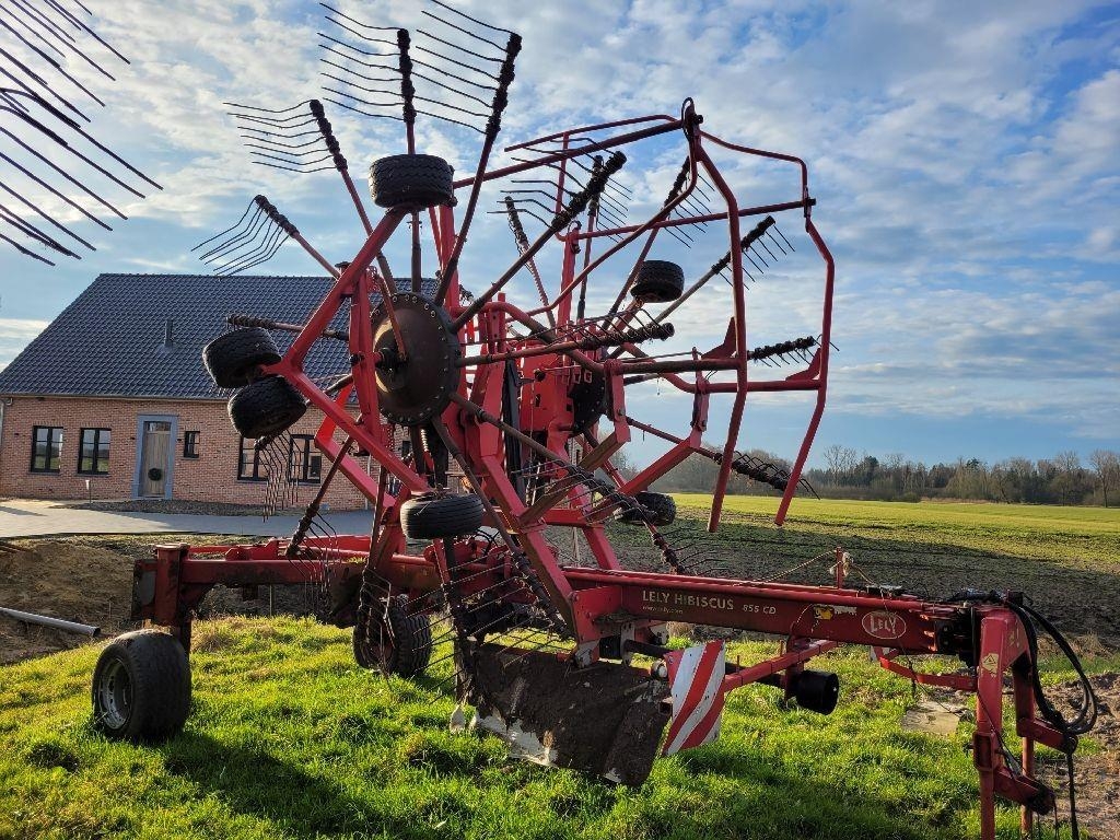 Lely Hibiscus 855 CD