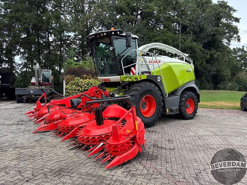 CLAAS Jaguar 950 - 498 Kemper 475