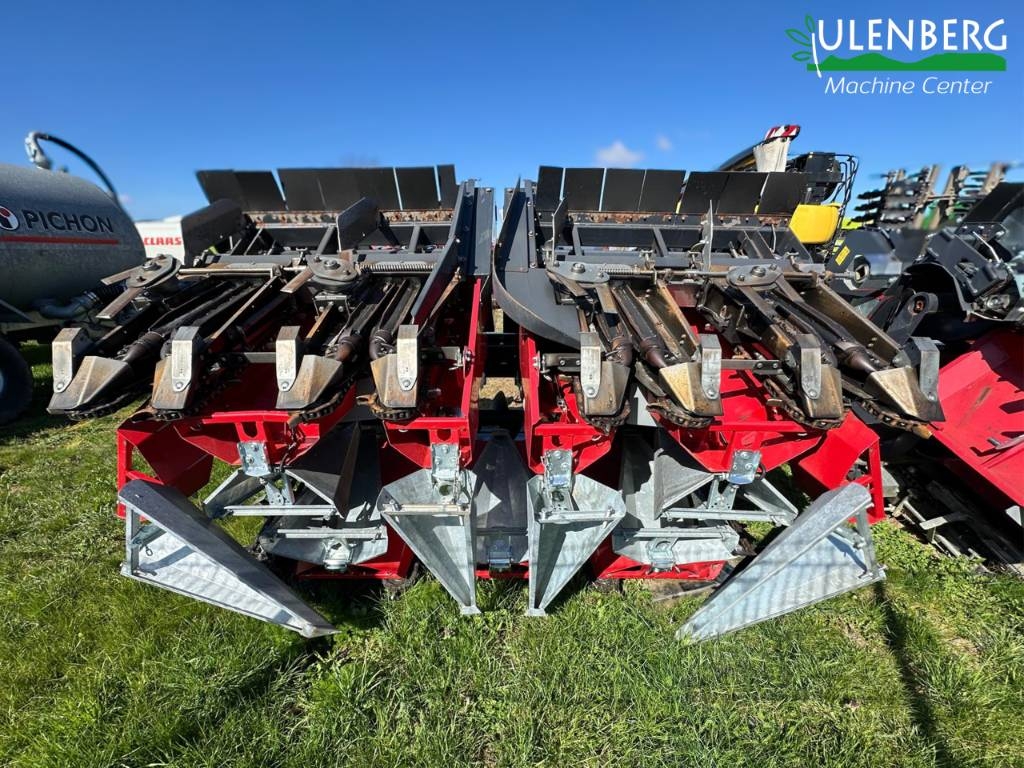 Dominoni SL978BGTRP-75