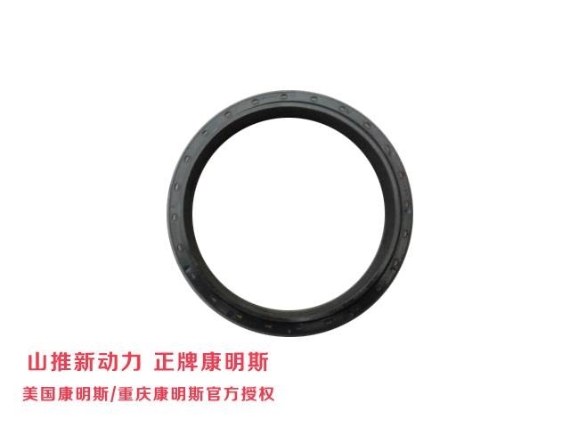 Cummins QSC8.3 series Oil sealing 3925343