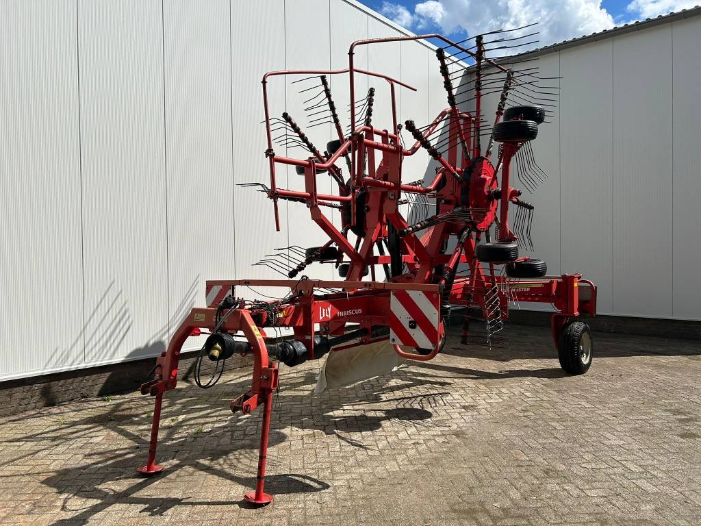 Lely Hibiscus 725 master