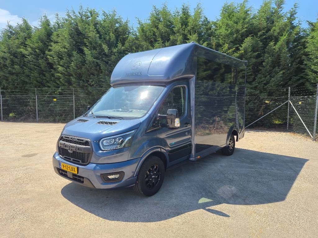 Ford Transit Paardenwagen