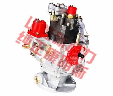 Cummins furl pump NT855 4B 6B 6