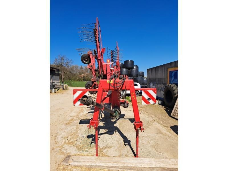Lely HIBISCUS1525