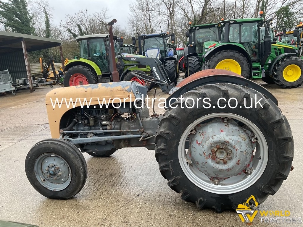 Massey Ferguson TRACTOR