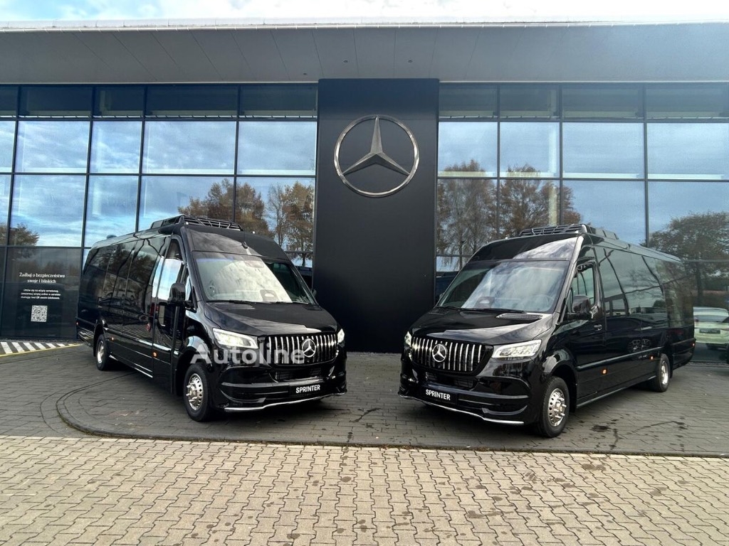 Mercedes-Benz Mercedes-Benz Sprinter 519CDI - Luxury minibus