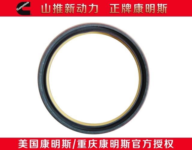 Cummins ISDE engine crankshaft oil seal 4890832