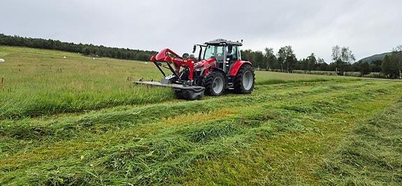 Massey Ferguson DM 316 FQ