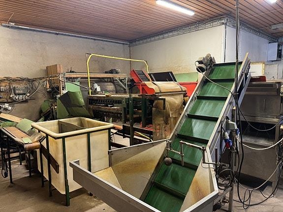 Vaske og pakke linje for gulrot
