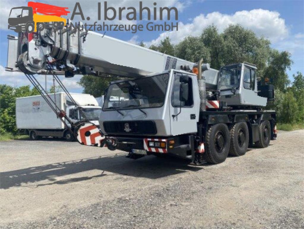 Grue tout-terrain Grove GMK 3050 — occasion 2002