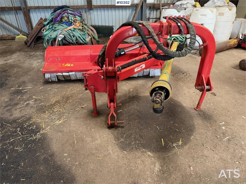 Maschio Giraffa