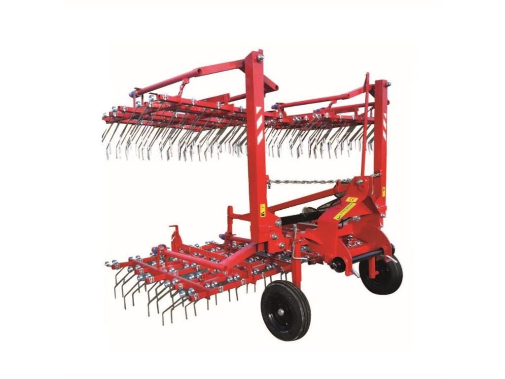 Dominator Striegel