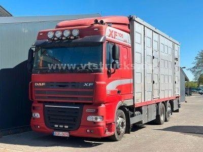 DAF XF105 6x2 LL 3.Stock Menke Hubdach/Rampe/Tränke