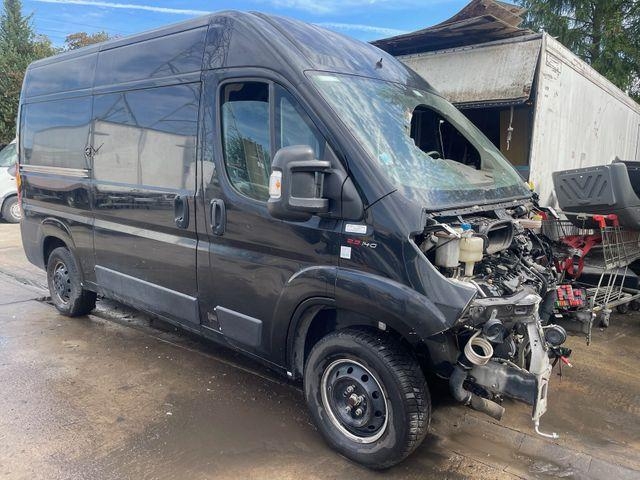 Fourgon utilitaire Fiat Ducato 33 140 L2H2 Kastenwagen/AC/EU6d-Temp — occasion 2020