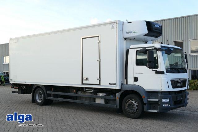 Camion frigorifique MAN 18.250 TGM, 2 Kammern, Carrier Supra 1250, LBW — occasion 2019