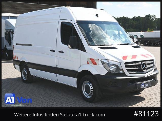 Mercedes-Benz Sprinter 314 CDI Kasten, Regale, AHK, 3-Sitzer